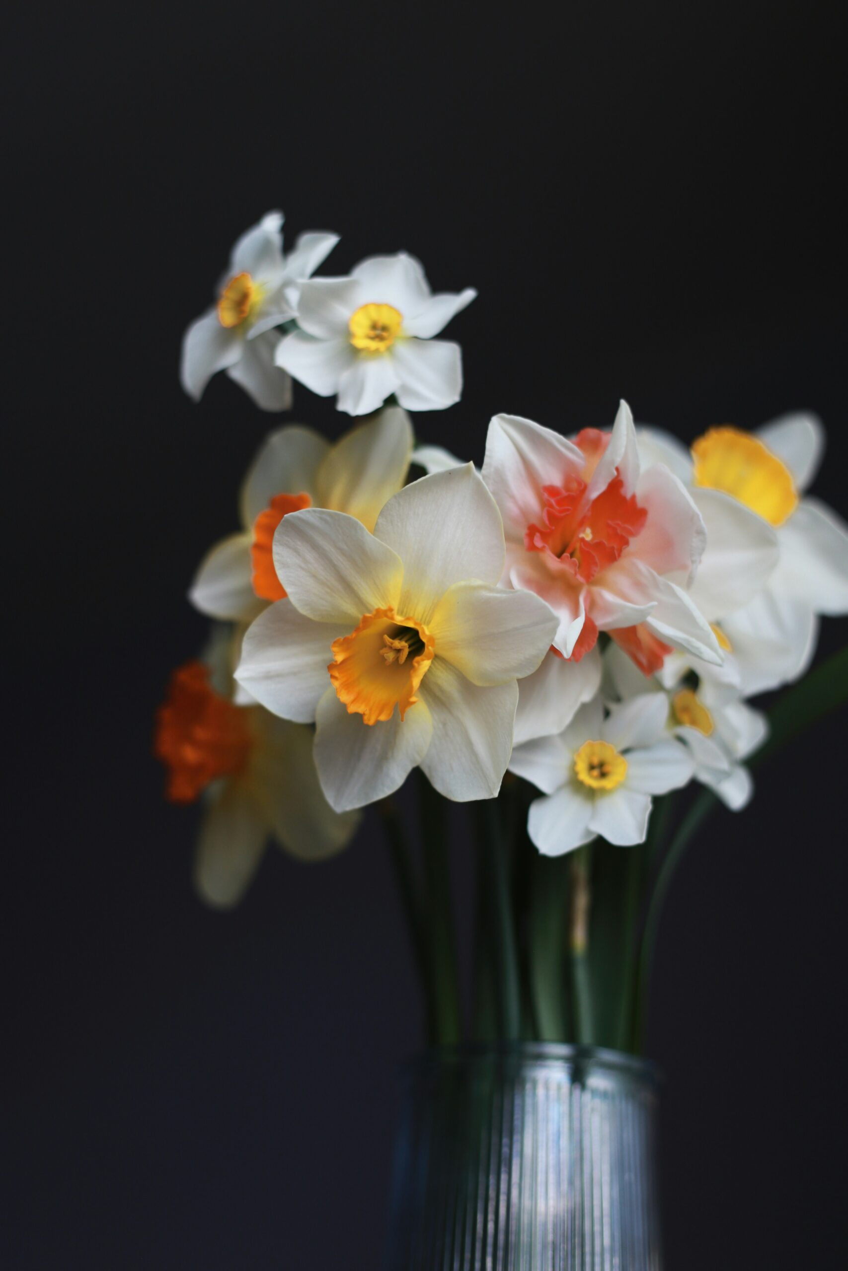 Oksana avramenko 1tjpDooYioU unsplash